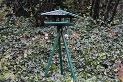Vogelhaus