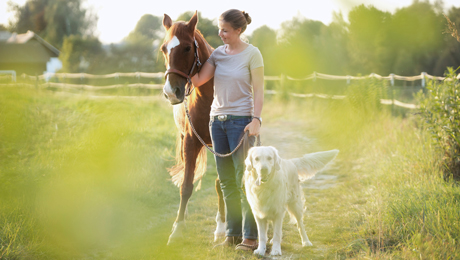 Vorsorge für Pferde und Hunde